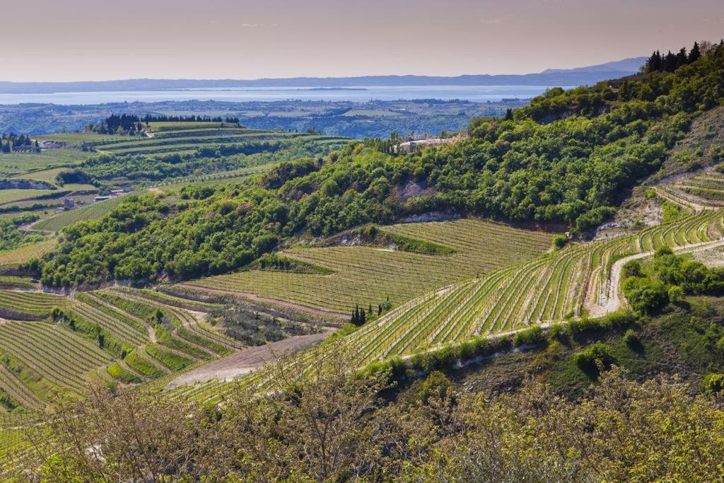 산탐브로지오 디 발폴리첼라 La Grande Casa Valpolicella B&B 외부 사진
